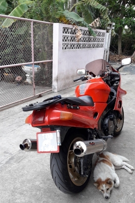 ZZR1100 R1 ทะเบียน ภาษีไม่ขาด