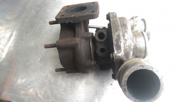 โบ สวย ๆ สภาพนางฟ้า ไม่หอน ไม่รุน แกนแน่นปัก ใบเดิมสวย ๆ พร้อมโข่งหลัง