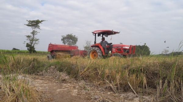 ขายเครื่องอัดฟาง ขายเครื่องอัดฟาง