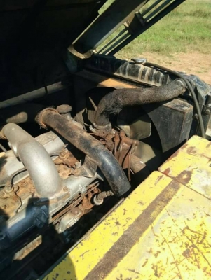 ขายSH200ทะเบียนพร้อมโอนราคา580,000จัดแนนประมาน300,000สนใจโทร0895770265