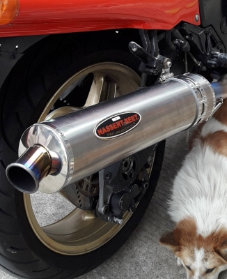 ขายท่อ Beet Japan คู่ 9,000 ขายท่อ Beet Japan คู่ 9,000