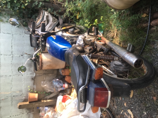 ขาย honda wing ขาย honda wing