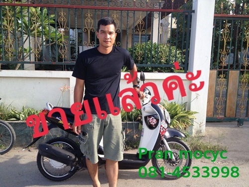 ขายjelatoสีดำปี2554 ขายjelatoสีดำปี2554