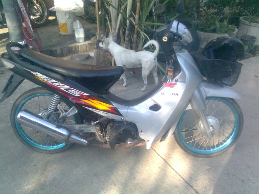 wave100 ของถูกและดีคับ ชุดสีสวย เครื่องแน่น มาลองสตาร์ทดู รถไม่ได้ล้างนะคับ