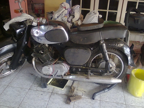 ขายหมูยักษ์ honda c77 สตาร์ตติด nobook 52000 โลตัส สมุทรสาคร ขายหมูยักษ์ honda c77 สตาร์ตติด nobook 52000 โลตัส สมุทรสาคร