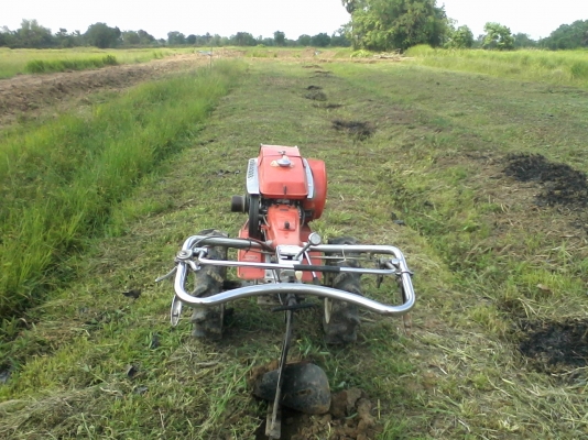 ขายรถพรวนดินญี่ปุ่นคูโบต้ารุ่น T-65 เบนซิล 6.5แรง มือสอง พร้อมอุปกรณ์ ขายรถพรวนดินญี่ปุ่นคูโบต้ารุ่น T-65 เบนซิล 6.5แรง มือสอง พร้อมอุปกรณ์