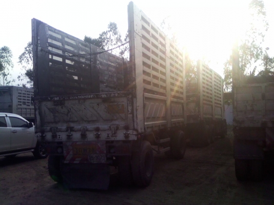 ขายด่วน Isuzu Deca Euro2 (270 hp.) ปี 49 มีทั้งหมด 5 พ่วงครับ กระบะสามมิตรลอนเฉียง ไม่ดั้ม