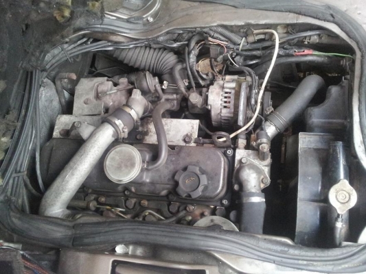 รถตู้ Nissan สีทอง เกียร์ออโต้ ภายในสวย เบาะกำมะหยี่ ด้านหลังปูพื้นเอาไว้ขนมอไซด์ได้^_^ มีทะเบียนค่ะ