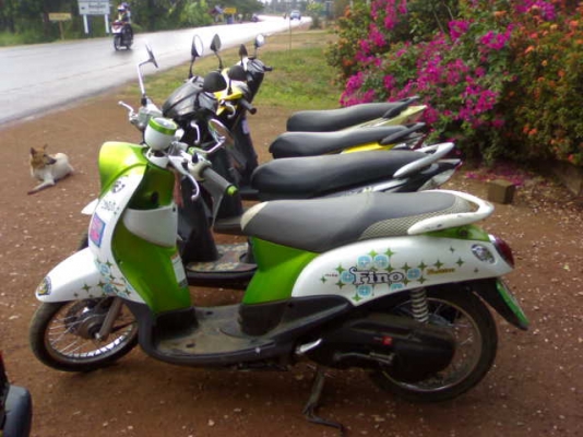 เหมารวมสายพาน4คันราคาเบา ๆ