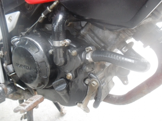 ขายโชนิคตัวใหม่