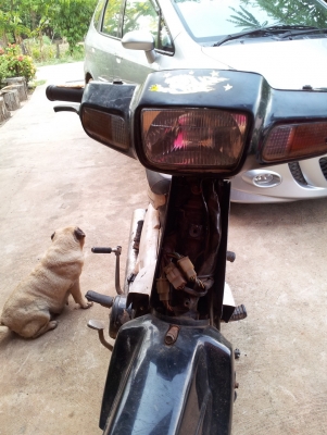 ขายดรีม c100