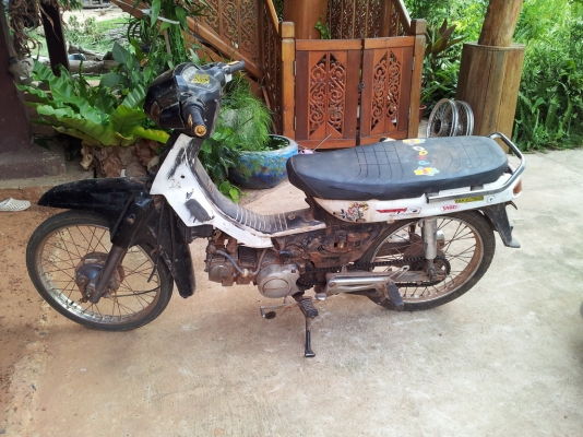 ขายดรีม c100