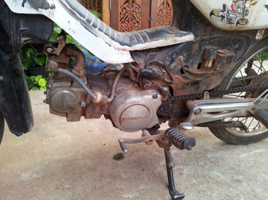ขายดรีม c100