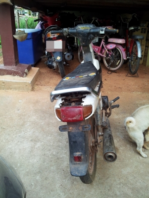 ขายดรีม c100