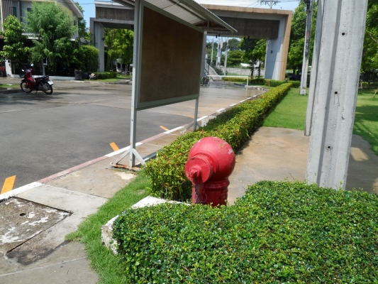 ขายบ้านหัวมุม เฉลิมพระเกียรติ ร.9 ซ.67 38 ตรว