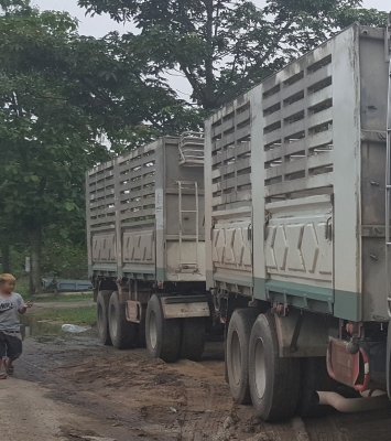 ขายครับ...ลูกพ่วงสามเพลาแท้ ปี57 ยาว 6.80 ไม่ดั้ม