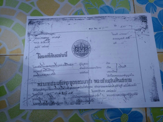 ขายที่ ตำบลช่างเหล็ก อำเภอบางไทร จังหวัดพระนครศรีอยุธยา มี 10 ไร่ มีทางเข้าออกได้ 2 ทางครับ อยู่หลัง