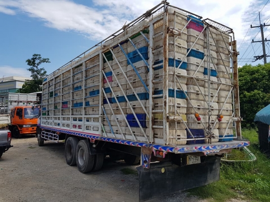 เดกก้า230แรง ปี47 รถวิ่งไก่ยาว 10เมตร20 พร้อมกล่องไก่ 500 ลูก พ่อค้าตัดได้เจ้าของรีบ