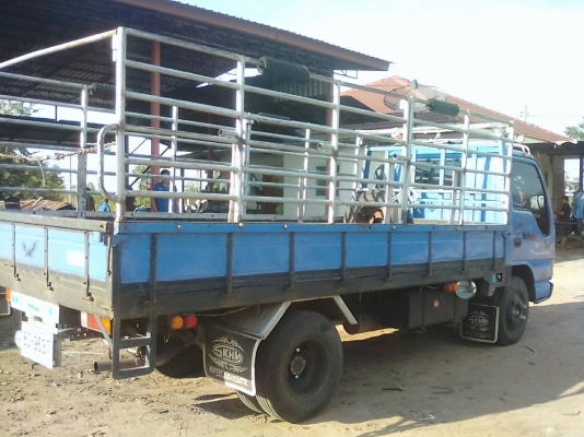 ISUZU NKR 130 รถเดิม เครื่องดี ครัชชีแจ่ม แอร์เย็นฉ่ำ ยางเรเดียนสวย 6 เส้น เอกสารพร้อม รถพร้อมใช้งาน