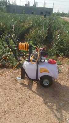 สเปรย์ฉีดพ่น ปุ๋ย ยา ฮอร์โมน ถังจุน้ำได้ 50 ลิตร สเปรย์ฉีดพ่น ปุ๋ย ยา ฮอร์โมน ถังจุน้ำได้ 50 ลิตร