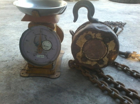 รอกโซ่ ตราช้าง