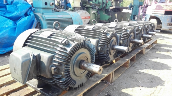 มอเตอร์รอบช้า TECO 20 HP 6 POLE 970 RPM 380V