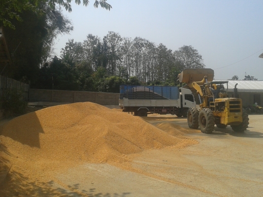 ขายรถตักล้อยาง