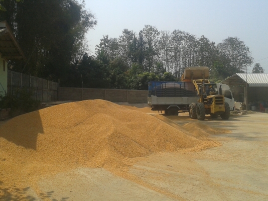 ขายรถตักล้อยาง