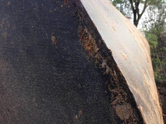 มี 5 ถัง ถังละ 58,000 บาท ถังน้ำมันขนาด 20,000 ลิตร  ยาว 6.2 เมตร สูง 2.1 เมตร  (เพิ่งเอาขึ้นมาจากพื้นดิน ปั้ม ปตท .สกลนคร)  รถอยู่  สกลนคร  โทร 0610710295