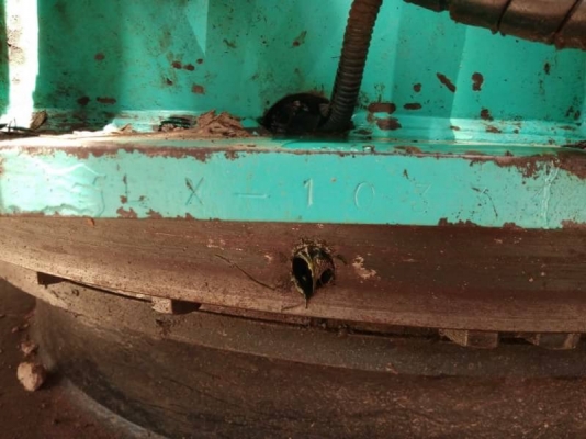 ขาย 850,000 KOBELCO sk 120-5 super ซีเรียลสูง เก๋งเหลี่ยม สภาพเก่านอก ไฟฟ้าเต็ม เครื่องดี ปั้มแรง เอวแน่น ช่วงล่างดี เอกสารอินวอยทร์ รถสวยพร้อมใช้ รถอยู่ บุรีรัมย์ 090-772-3710 090-772-3708