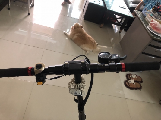 สกูตเตอร์ไฟฟ้า