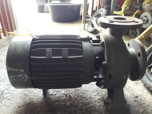 ขาย !! ปั้มย้ำหอยโข่ง.ขนาด7.5แรง3สาย.ของ.อิตาลี่.สภาพเดิมพร้อมใช้งาน