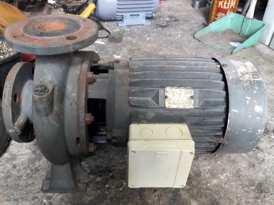 ขาย !! ปั้มย้ำหอยโข่ง.ขนาด7.5แรง3สาย.ของ.อิตาลี่.สภาพเดิมพร้อมใช้งาน