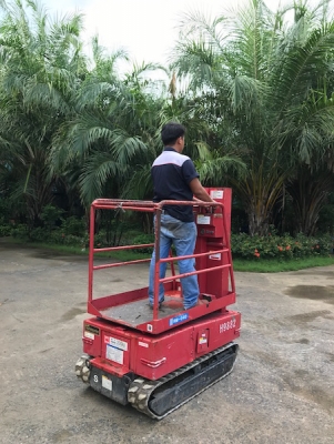 ขายรถกระเช้า AICHI ไฟฟ้า สูง4เมตร รับน้ำหนักได้200โล สวยเดิมจากญี่ปุ่นยังไม่เคยใช้ในไทย 58,000เท่านั้น