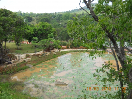 ขายรีสอร์ทพร้อมดำเนินกิจการวิวสวยๆบนเขายายเที่ยง