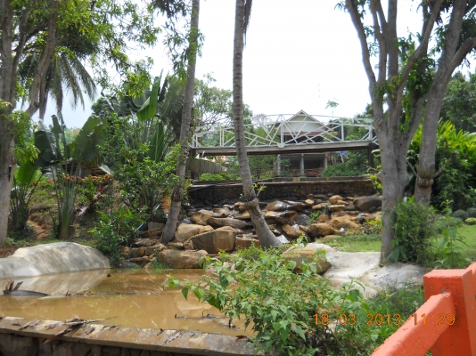 ขายรีสอร์ทพร้อมดำเนินกิจการวิวสวยๆบนเขายายเที่ยง