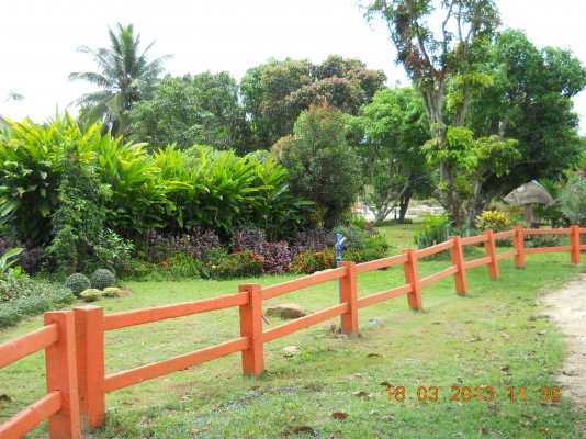 ขายรีสอร์ทพร้อมดำเนินกิจการวิวสวยๆบนเขายายเที่ยง