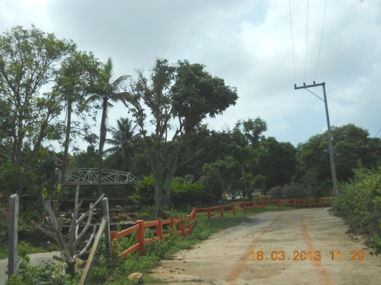 ขายรีสอร์ทพร้อมดำเนินกิจการวิวสวยๆบนเขายายเที่ยง