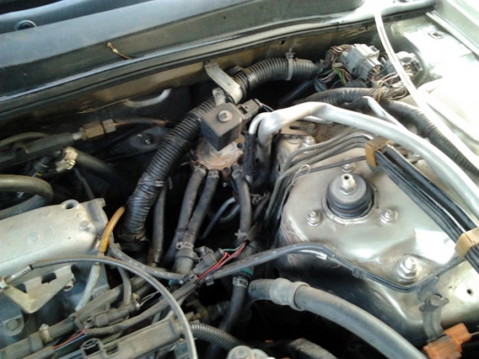 ขายรถเก๋ง HONDA ACCORD โฉมท้าย2ก้อน ปี39/96 เครื่องV ติดแก๊สLPG เกียร์ออโต้ ภายในเบาะหนัง สาย CD แอร์ พ.พาวเวอร์ พร้อม กระจกไฟฟ้า ปรับข้างไฟฟ้า ใช้งานปกติ ล็อครีโมท ล้อแม็ก17 ยางดี4เส้น 205/45/17 สีสวย เคยมีชนมาแต่ไม่ลึกเก็บงานแล้ว พร้อมใช้งาน ราคาต่อรองไ