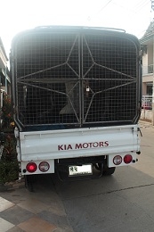 ด่วนขายรถ KIA K2700 สภาพสวย วิ่งน้อย ราคาถูก