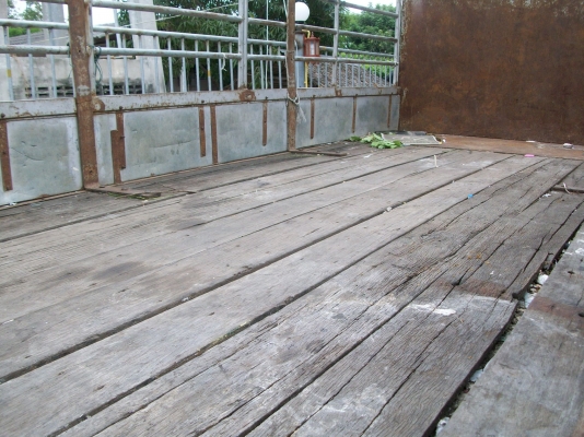 มาอีกแล้วครับ 6ล้อ