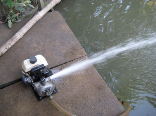 ขายปั้มน้ำ 3,000