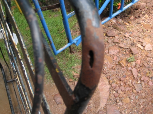 ขายแร็กหลังคาของมินิออสติน