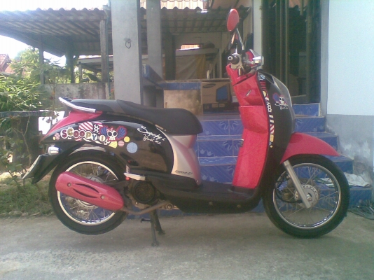 ขายscoopy i