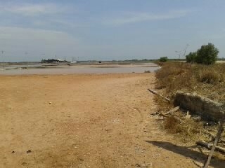 ขายที่ดิน 6.74 ไร่ ติดทางหลวง วงแหวน โคกกรวด หนองสรวง