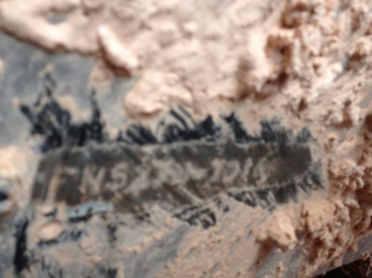 รถมิตซู 10 ล้อดั๊ม FN527 - TD  195 แรงม้า  สนใจติดต่อ 081 - 6079515