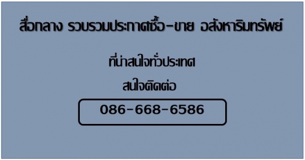 รวบรวมอัพเดตราคาที่ดินเฉลี่ยทุกจังหวัดได้ที่นี่ มีเป็นพันๆแปลง มีค่าเฉลี่ยรายจังหวัดและค่าเฉลี่ยทั้งประเทศให้ดูด้วย จะทำการอัพเดตทุกอาทิตย์