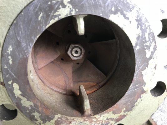 ขายหัวปั๊มน้ำหอยโข่ง Torishima pump made in Japan ขนาดเข้า 5นิ้ว ออก 4นิ้ว ใบเหล็กหล่อ ของใหม่ไม่เคยใช้งาน สวยมากๆพร้อมใช้งาน ขายหัวปั๊มน้ำหอยโข่ง Torishima pump made in Japan ขนาดเข้า 5นิ้ว ออก 4นิ้ว ใบเหล็กหล่อ ของใหม่ไม่เคยใช้งาน สวยมากๆพร้อมใช้งาน