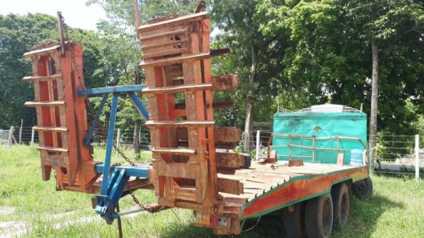 ขาย 200,000 รถบรรทุกรถเกี่ยวข้าวสิบล้อ ISUZU หน้ายาว 1 เพลา หัวดี ยางดี คัชซีสวย รถพร้อมใช้ รถอยู่ ยโสธร 090-772-3710 090-772-3708