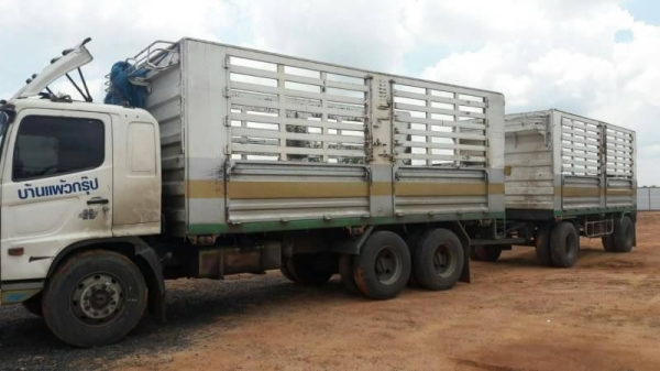 ขาย 1,390,000 สิบล้อคอกเกษตรแม่ลูกไม่ดั้ม HINO MEGA 260 ปี 48 หัวบาง ยางดี คัชซีสวย รถพร้อมใช้ รถอยู่ อุบลารชธานี 090-772-3710 090-772-3708